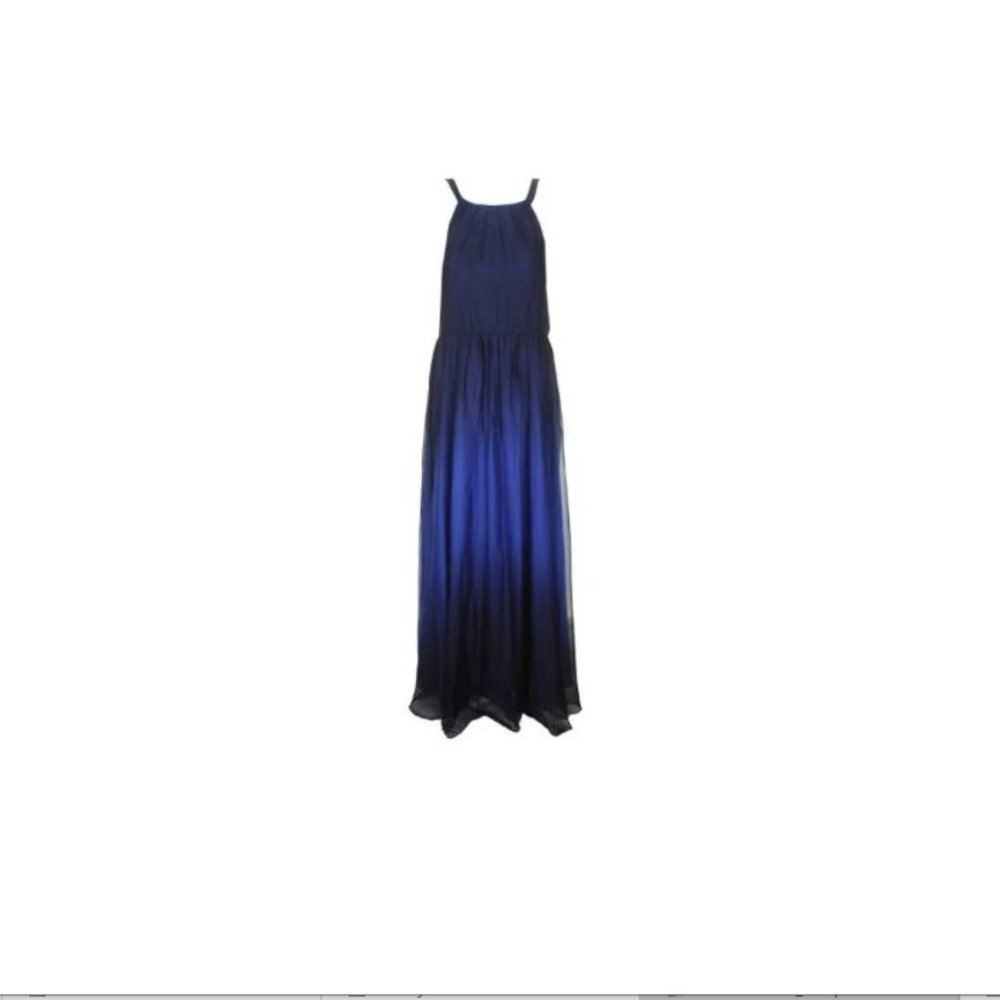 Betsy and Adam Blue Gown